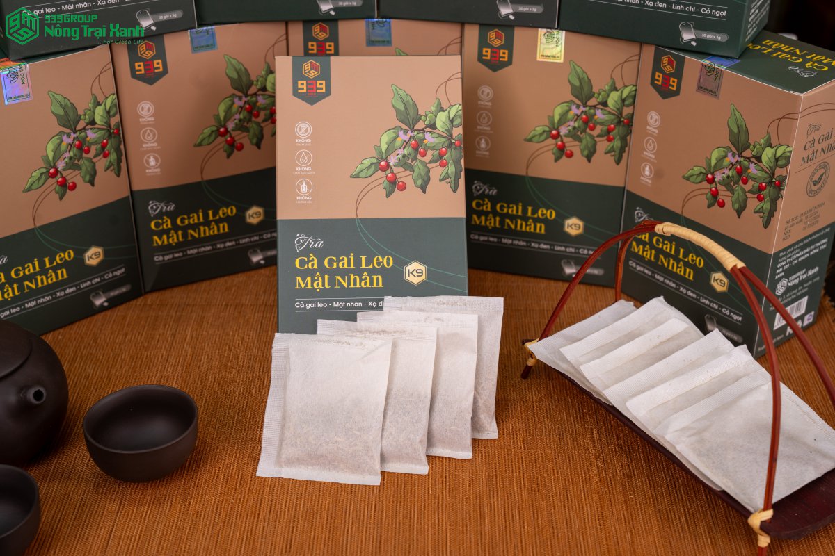 Trà Cà Gai Leo Mật Nhân – Thải độc gan, bảo vệ sức khỏe cho người hay dùng rượu bia