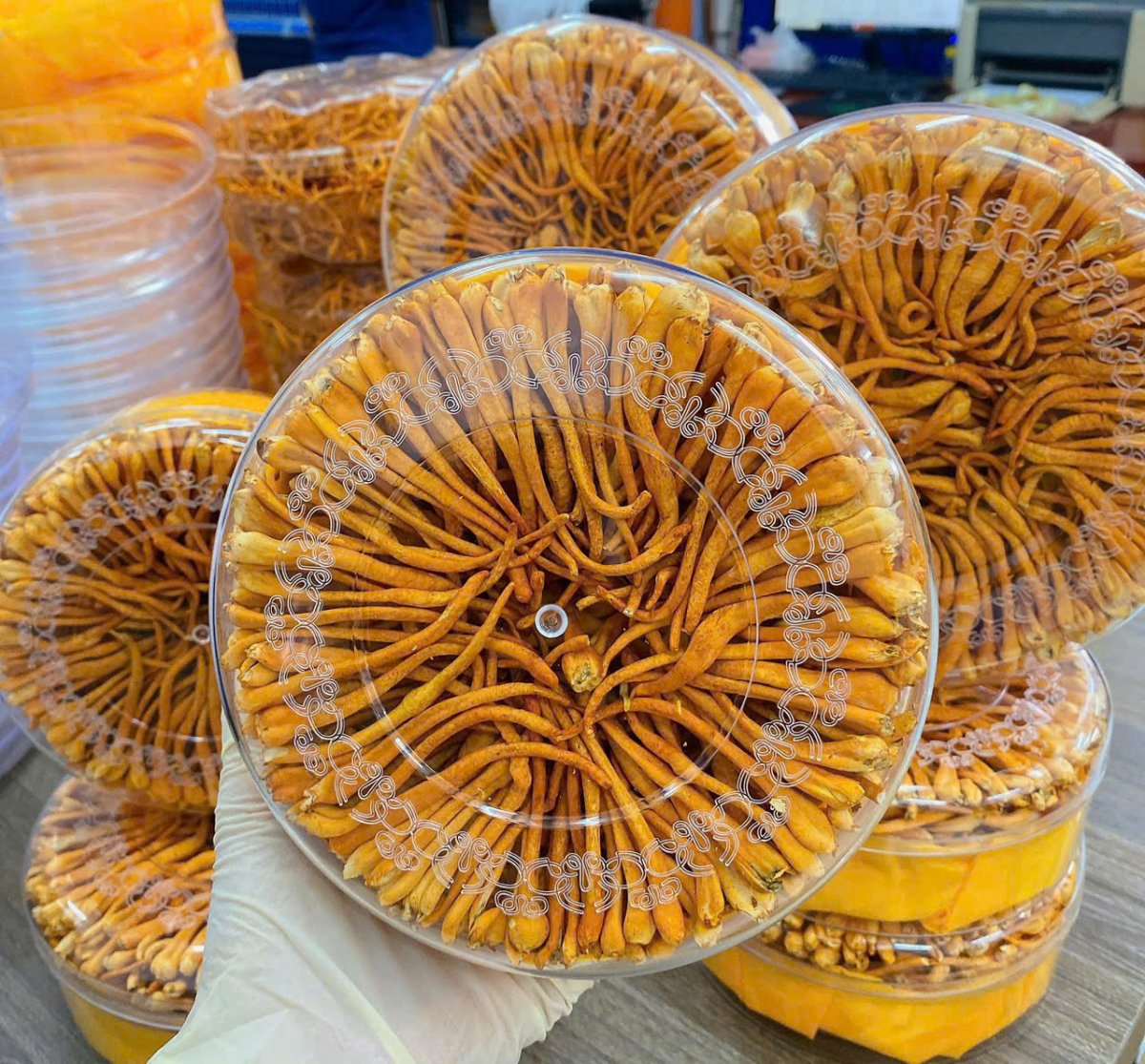 Bạn nghĩ mình vẫn khỏe? Sự thật là cơ thể đang yếu đi từng ngày mà bạn không hề hay biết