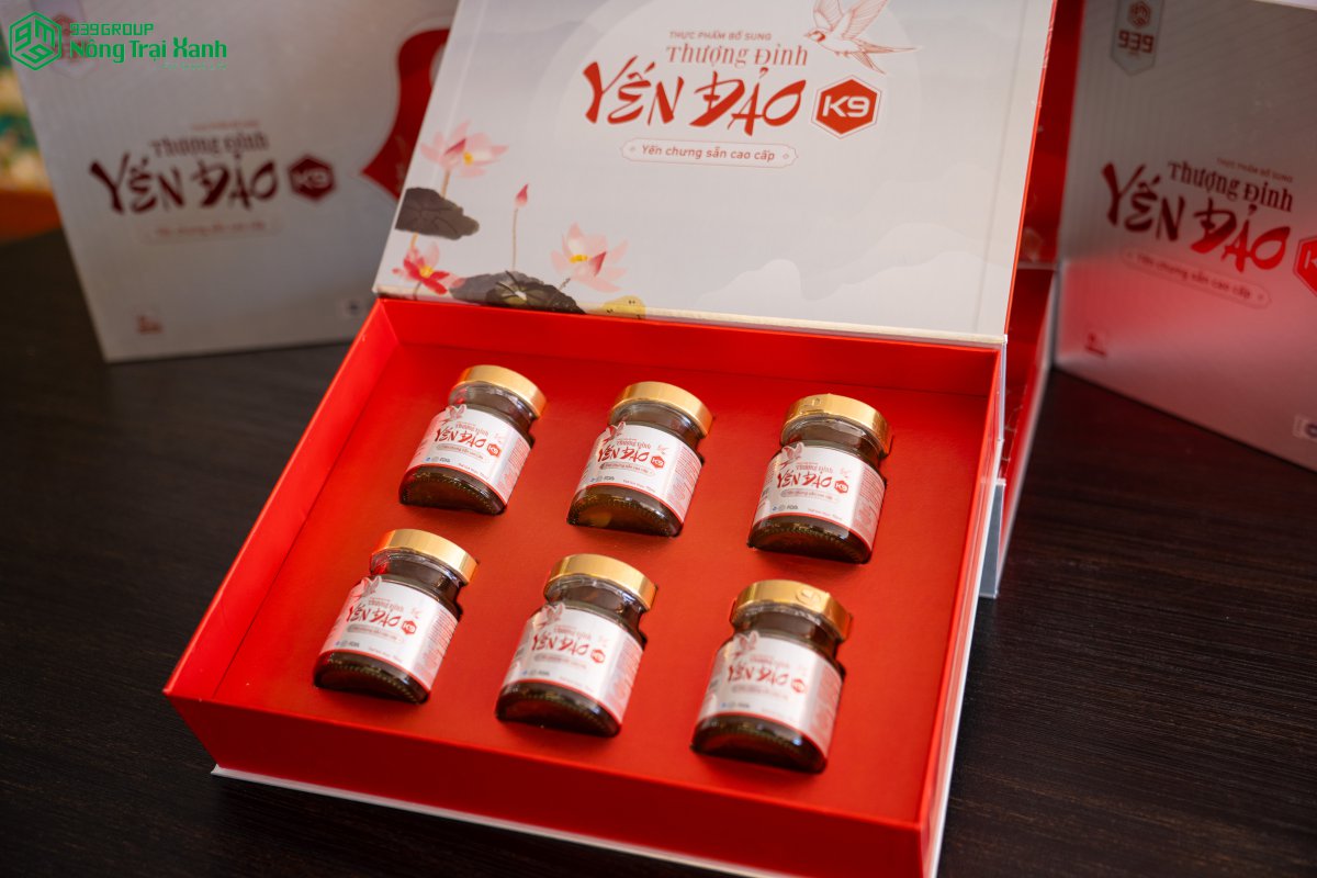 Yến đảo khác yến nuôi như thế nào? Sự thật mà nhiều người chưa biết