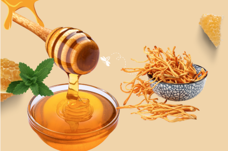 Pha Đông trùng hạ thảo với gì tốt nhất? Trà – Mật ong – Sữa ong chúa cách nào hiệu quả hơn?