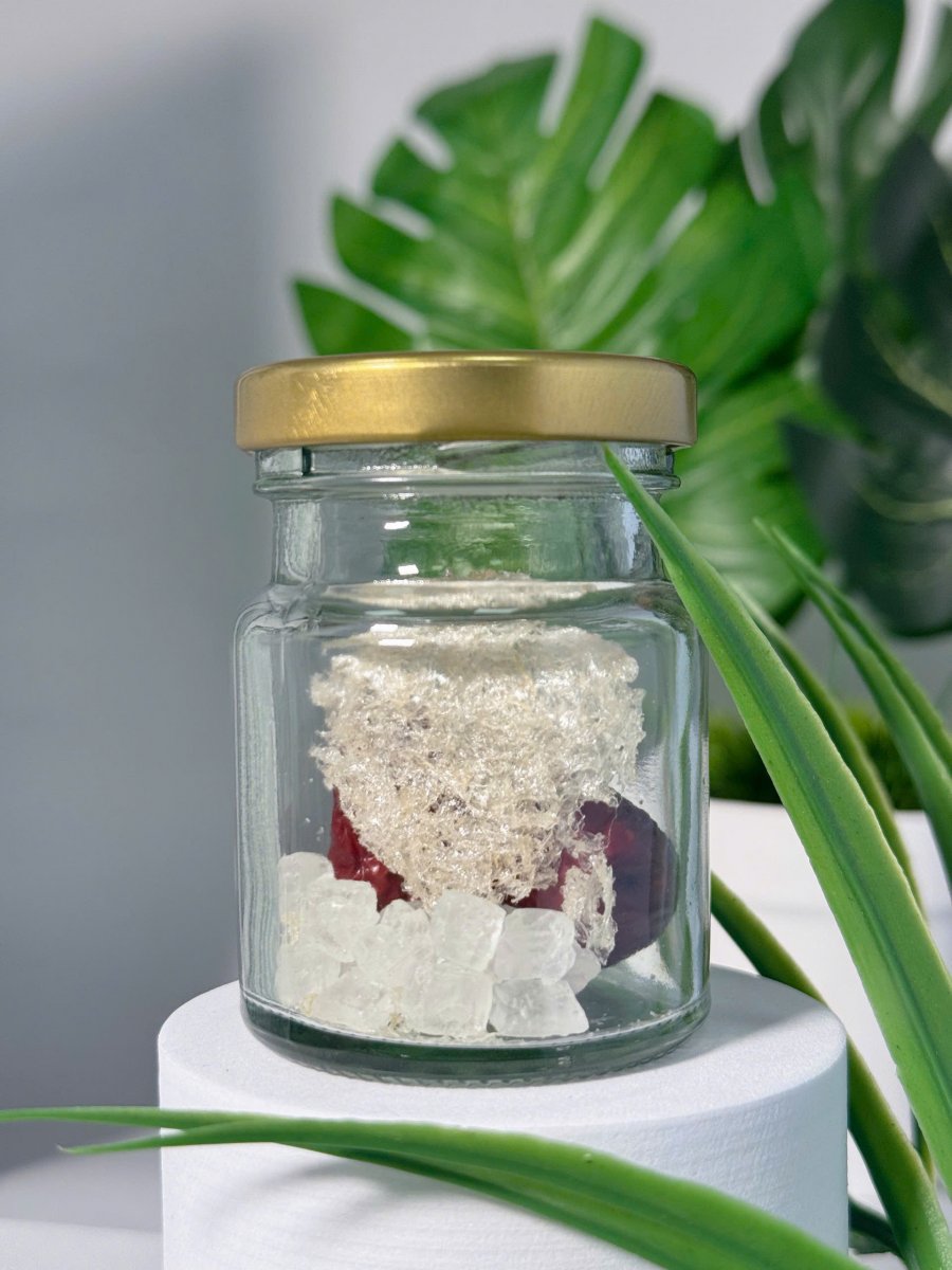 Yến Hũ mix táo đỏ, mầm đông trùng, đường phèn , hạt chia