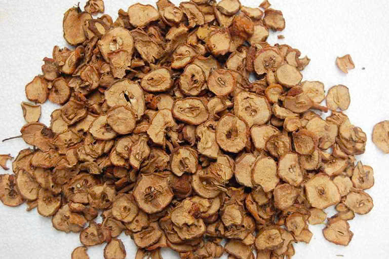 Sơn Tra (Táo Mèo)